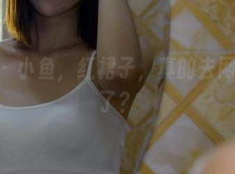 pans – 小鱼，红裙子，真的去网盘冒泡了？