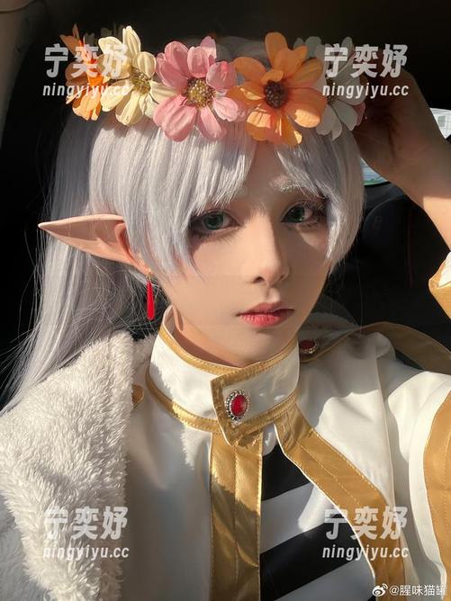 和服合集：腥味猫罐的异世梦游记录